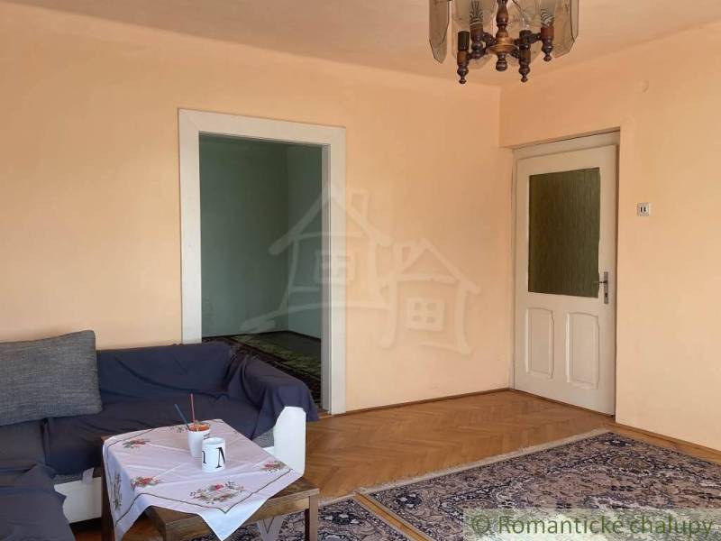 Living room in a family house with a wood-patterned floor, sofa, and carpet.