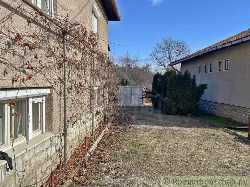 A family house in Bretka with an old facade, vine, and a yard with trees.
