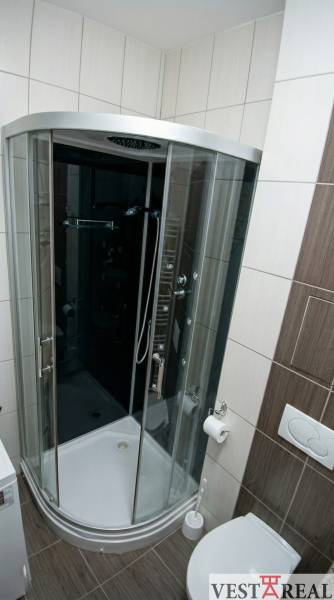 Bathroom with a shower and toilet in a studio apartment.