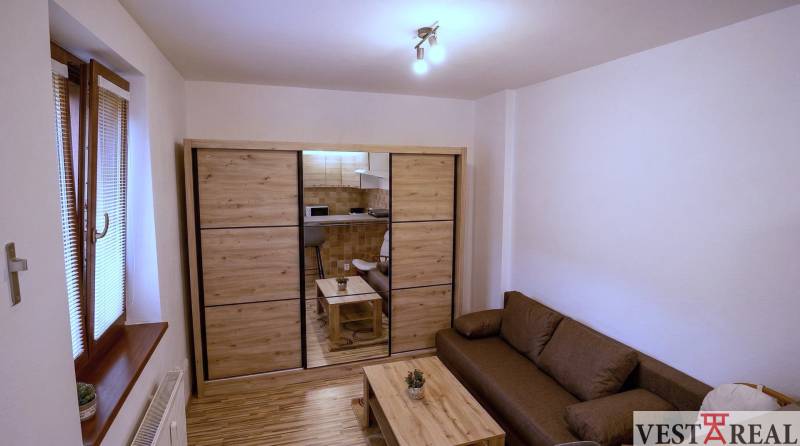 Studio apartment with wood-patterned flooring, a sofa, a table, and a wardrobe with sliding doors.