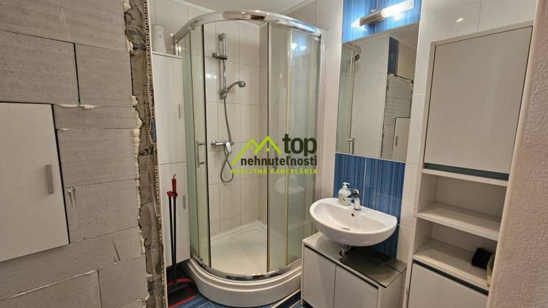 A bathroom with a corner shower, sink, and mirror, suitable for a studio apartment.