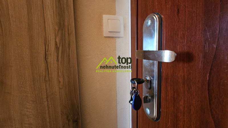 Wooden door in a studio apartment with a metal handle and a light switch.