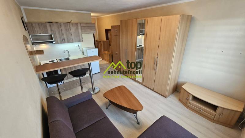 Studio apartment with a kitchenette, furniture, and flooring with a wood decor.