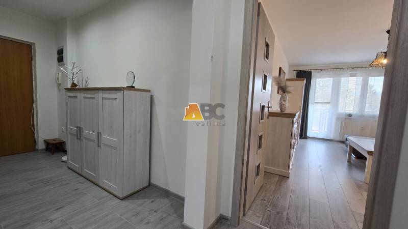 Entrance hall and living room in a two-room apartment with a wooden decor floor.