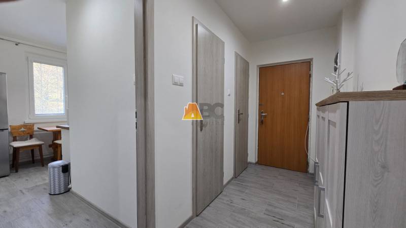 Entrance hall with wooden doors and furniture in a 2-room apartment, light flooring.