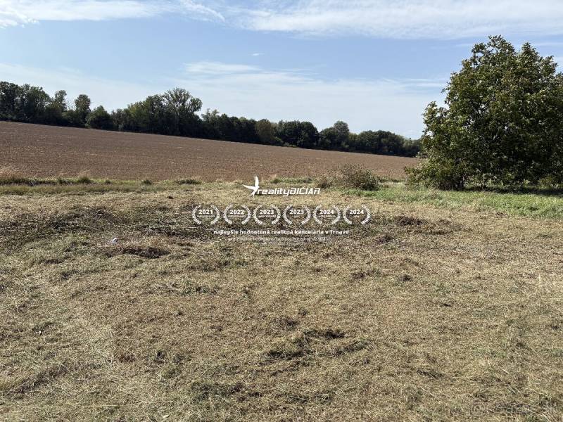 Fields and grass in the Gardens in Zvončín, near Zvončín, with a clear sky and trees.