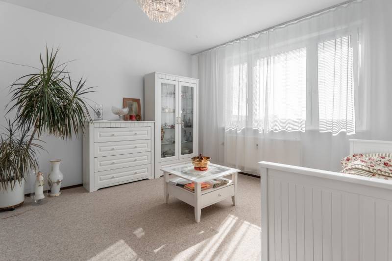 A bright room with a glass display case, white furniture, and plants in a 4-room apartment.