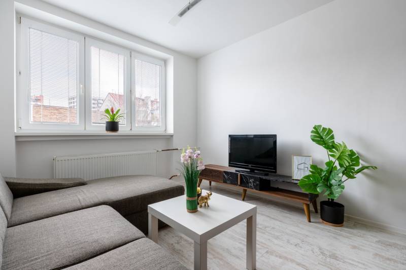 Living room in a two-room apartment, sofa, television, plants, white wall, floor with wooden decor.