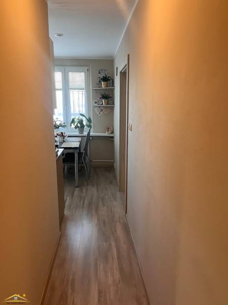 A narrow corridor in a 3-room apartment leads to a bright dining room with plants and decorations.