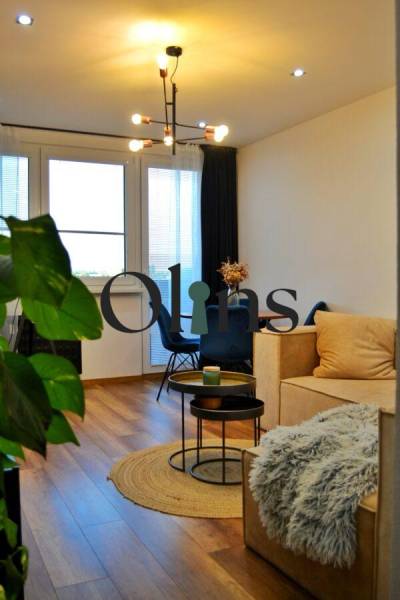 Living room with wood-patterned flooring, a comfortable sofa, and a shaggy blanket in a three-room apartment.