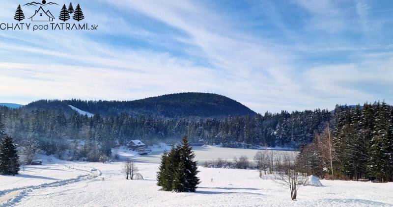 A snowy landscape in Dolná Lehota with a cottage and forest in the background.