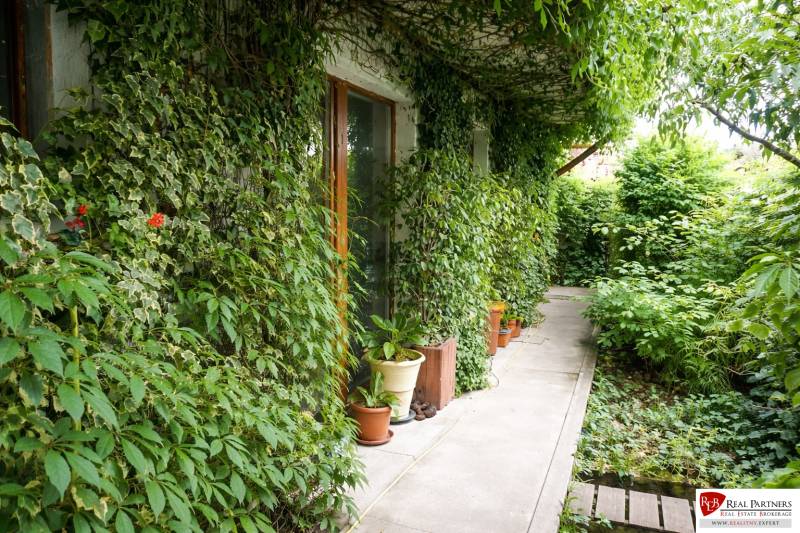 The garden of a 3-room apartment on Šancová Street in Pezinok with lush greenery and a pathway.