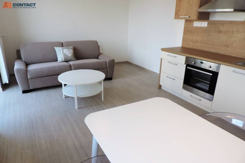 A stylish studio apartment with a kitchenette, sofa, and table on Bodona Street.