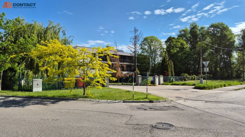 Trees and shrubs near a fenced property, close to the intersection on Bodona Street.