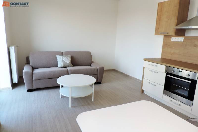 A studio apartment on Bodona Street with a sofa, kitchenette, and coffee table.