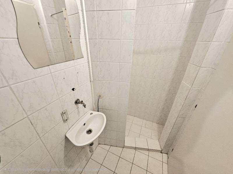 A small bathroom with a sink, mirror, and shower in commercial premises.