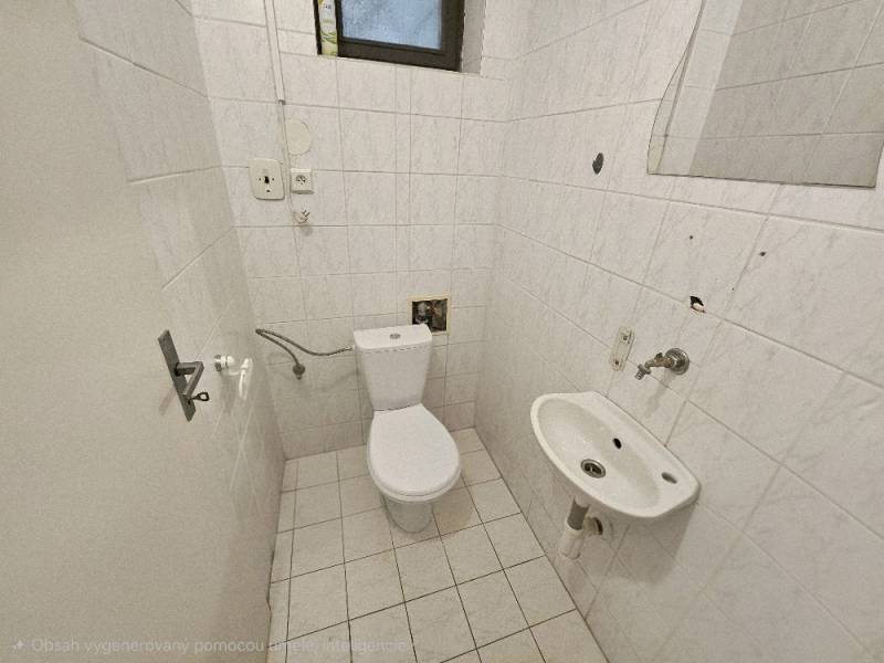A small bathroom with a toilet and a sink in commercial premises.