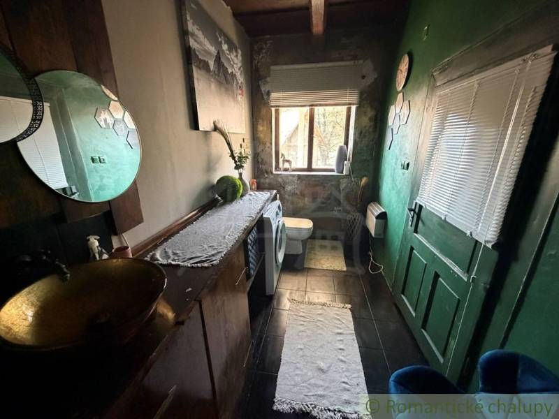 A bathroom in a family house with dark walls, a toilet, and a washing machine.