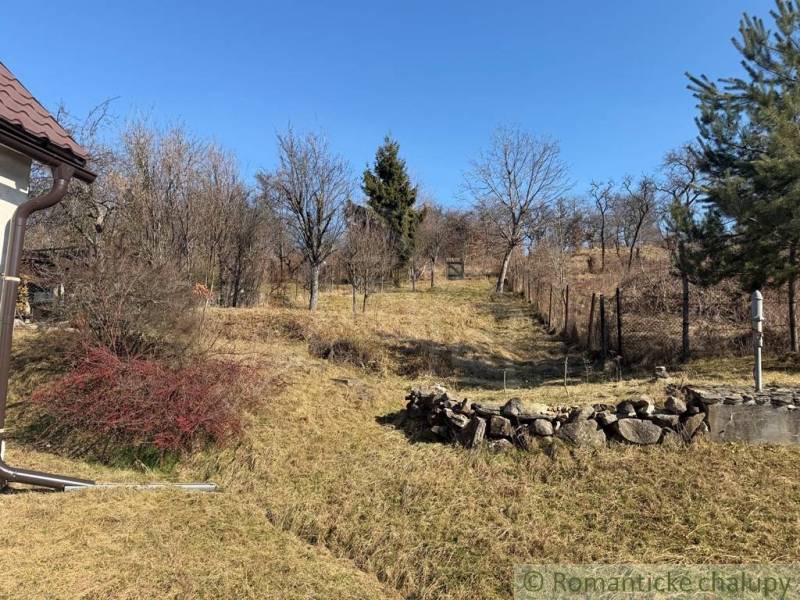 A garden by a family house in Lipovec with trees and a stone wall.