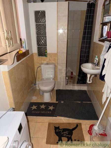 Bathroom in a family house with a toilet, shower, and washing machine.