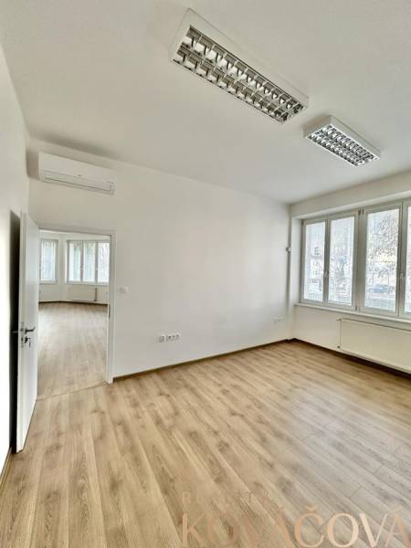 Offices with wood-patterned flooring and large windows for rent.