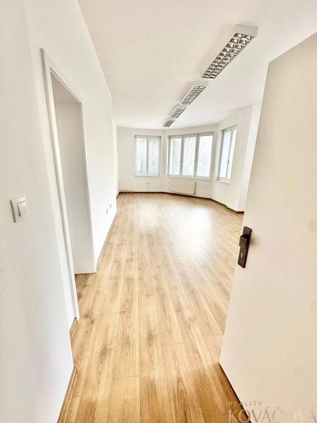 Bright offices with wood-patterned flooring and large windows.