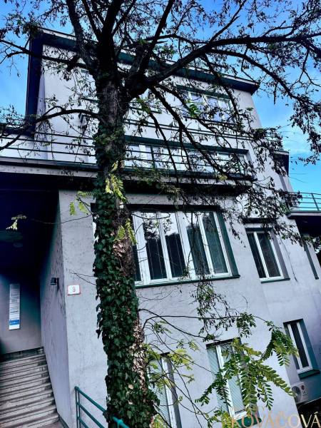 The building on M.R. Štefánik Street in Trenčín, surrounded by trees, offers office spaces.