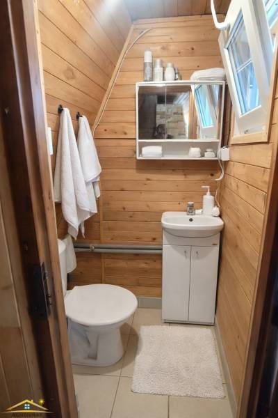 Bathroom in a cabin with wooden wall decor and basic amenities.