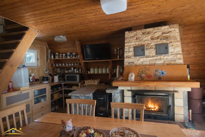 Interior of a cabin with a fireplace, pantry shelves, and a floor with a wooden decor.