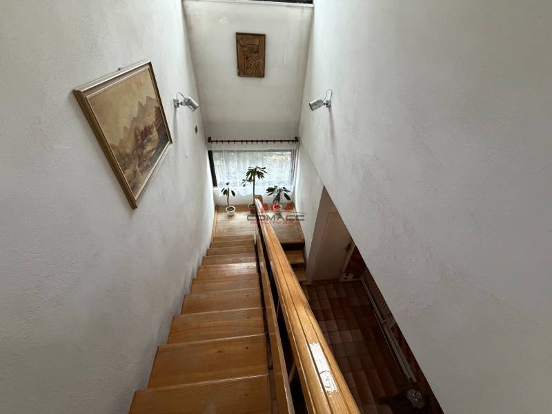 A staircase in a family house with a picture on the wall and a plant by the window.