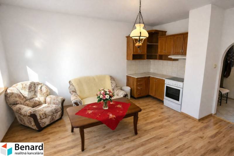Living room in a 2-room apartment with a kitchenette and a wooden decor floor.
