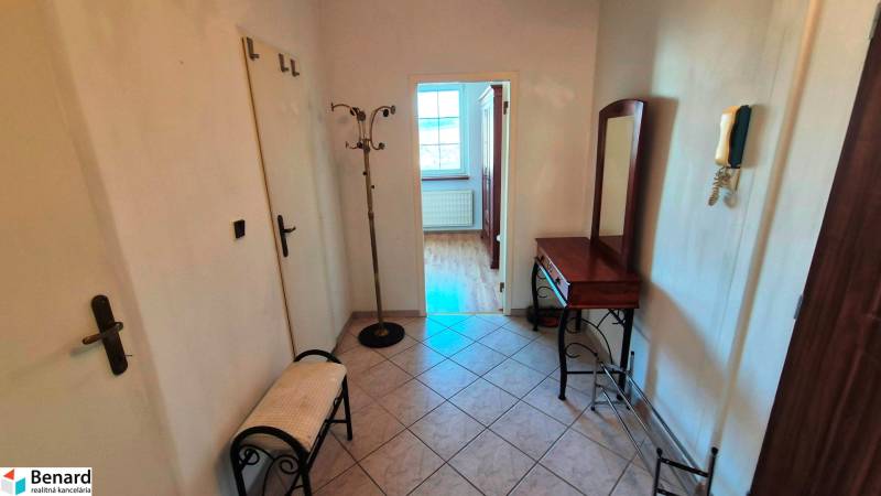 Hallway in a 2-room apartment with tiles, a mirror, and a fern.