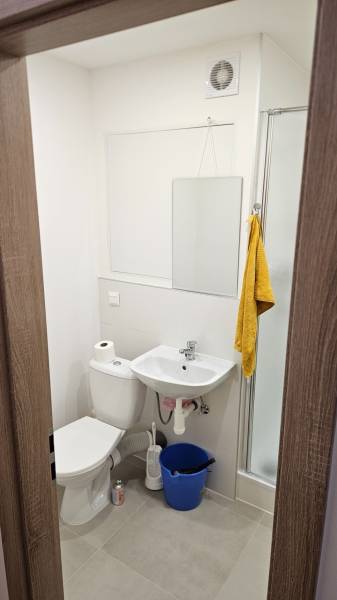 A bathroom in a studio apartment with a sink, toilet, shower, and mirror, neutral colors.