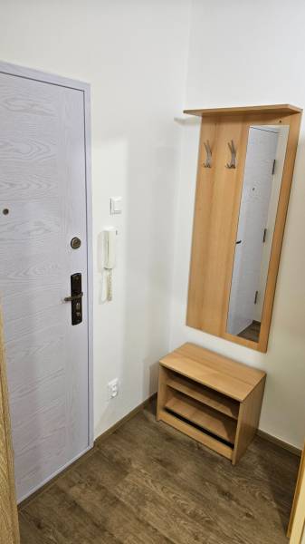 In the studio apartment, there is an entrance door, a mirror with hooks, a small shelf, and a floor with a wooden decor.
