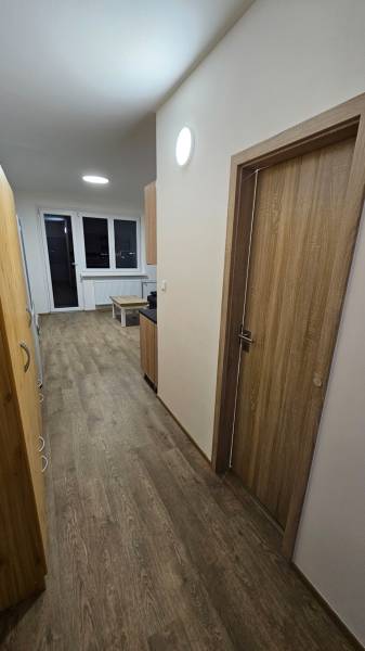 Studio apartment with wood-patterned flooring, white walls, and furniture.