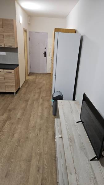 Studio apartment with wood-patterned flooring, kitchenette, refrigerator, and television.