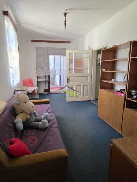 A living room of a family house with a sofa, a shelving unit, and a toy on the floor.