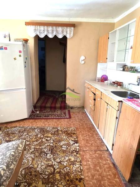 A kitchen in a family house with wooden decor, a refrigerator, and a carpet.