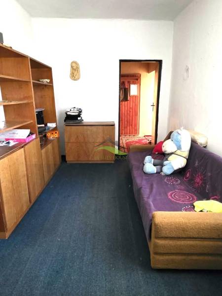 A family house with a carpet, a sofa, and shelves. A teddy bear on the sofa.