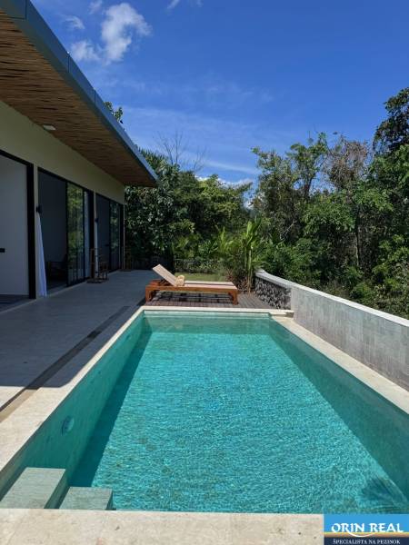 A family house in Amede with a swimming pool and a terrace with loungers, surrounded by greenery.