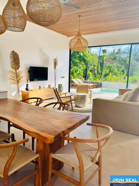 A family house with a wooden decor floor, wicker lamps, and a view of nature.