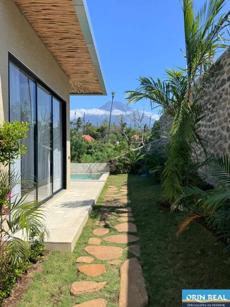 A garden of a family house in Amede with a swimming pool, a stone path, and palm trees.