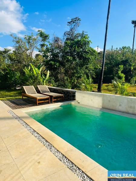 A swimming pool in a family house in Amede surrounded by greenery and a blue sky.