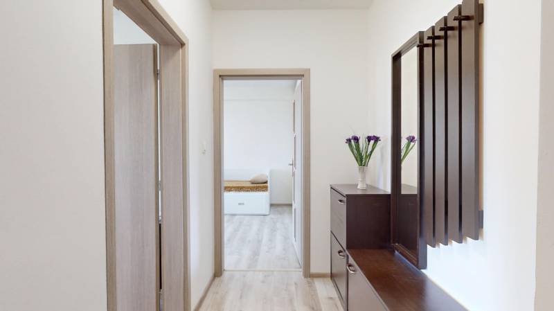 A hallway in a 2-room apartment with a wooden decor floor and dark furniture.