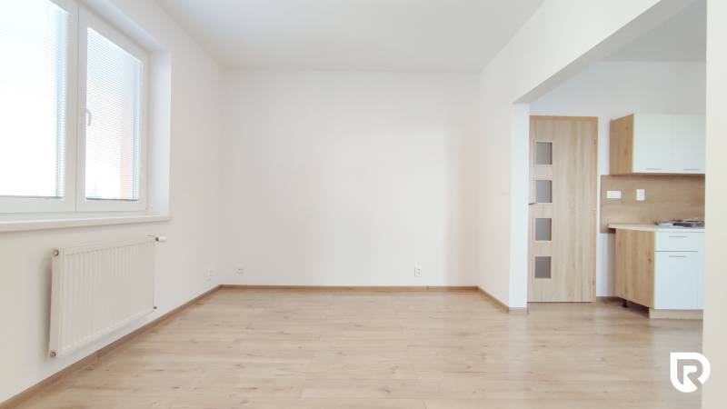 Living room in a two-room apartment with a wooden decor floor and a kitchenette.