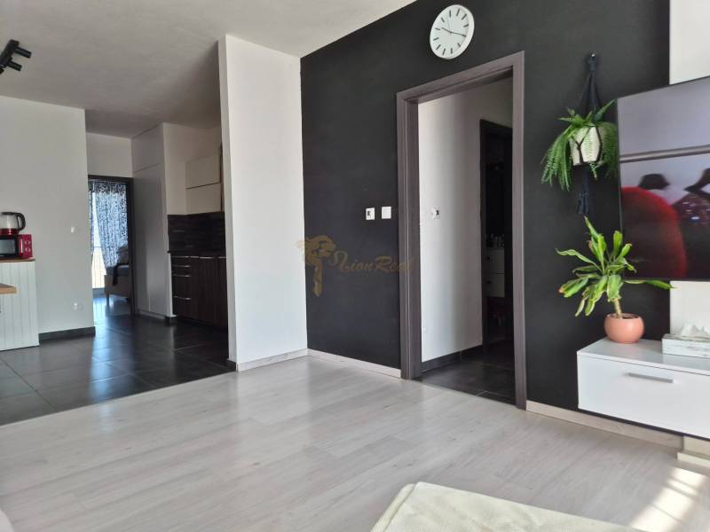 A living room with wood-patterned flooring, a black wall, and plants in a three-room apartment.