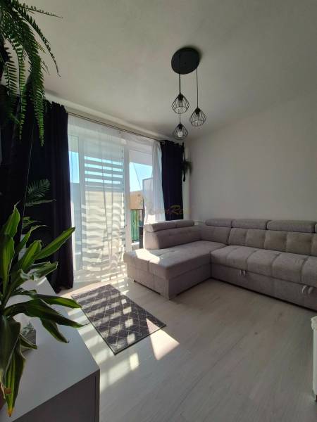 A living room in a 3-room apartment with a wooden decor floor, a large sofa, and plants.