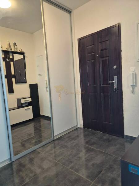 Entrance hall in a 3-room apartment with dark flooring and a built-in wardrobe.