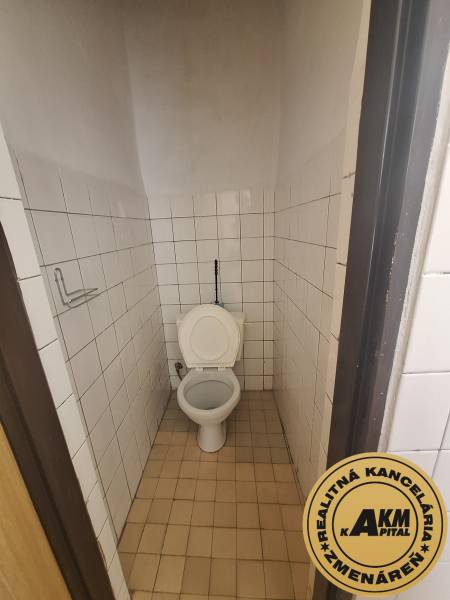 Toilet with tiles in the office, floor with ceramic decor.