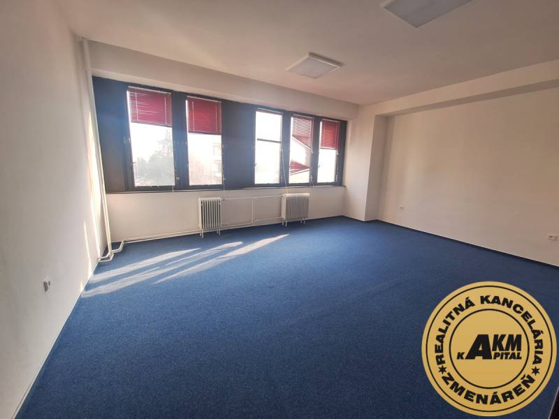 Office with a blue carpet and large windows, bright space.